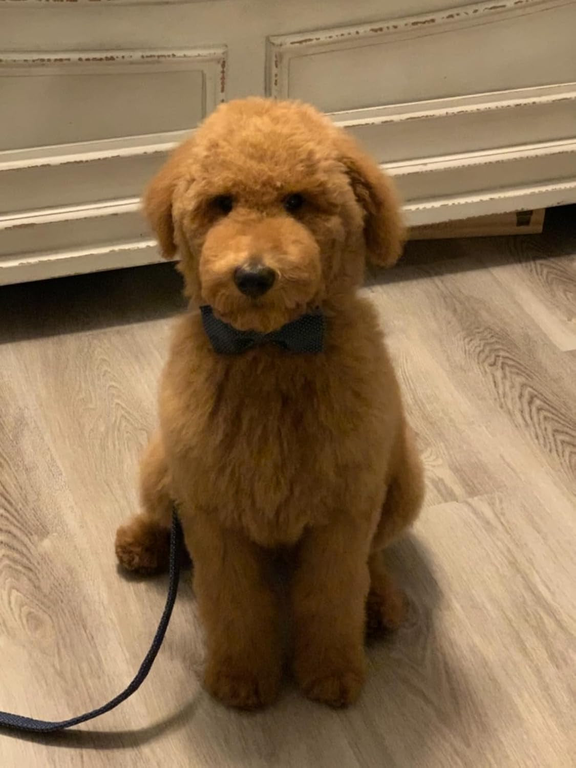 Dog Leash,Handmade Dog Training Leash Pet Supply