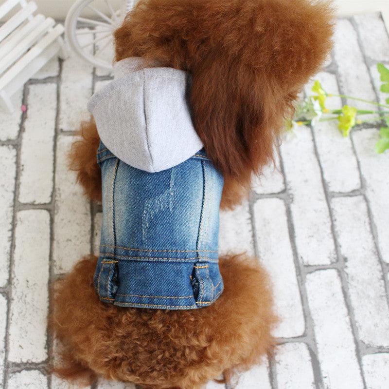 Stylish Denim Dog Jacket: Trendy Pet Fashion For Small Dogs