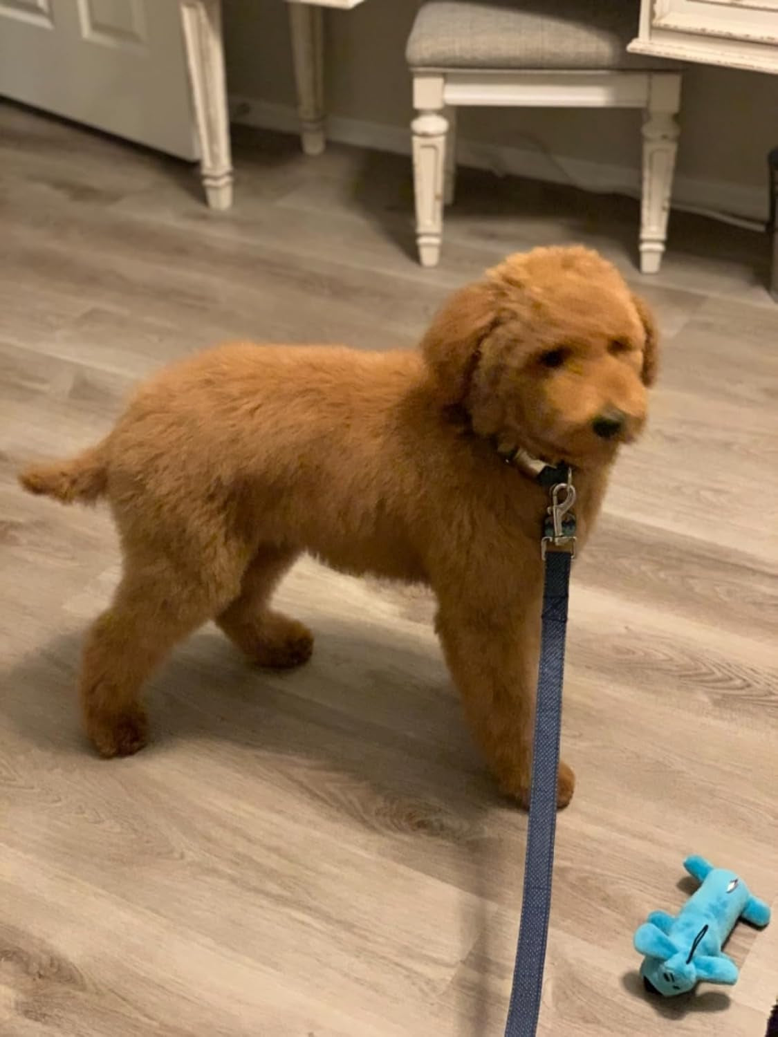 Dog Leash,Handmade Dog Training Leash Pet Supply