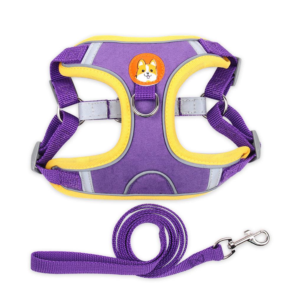 Ultimate Comfort And Safety Pet Harness Set-6