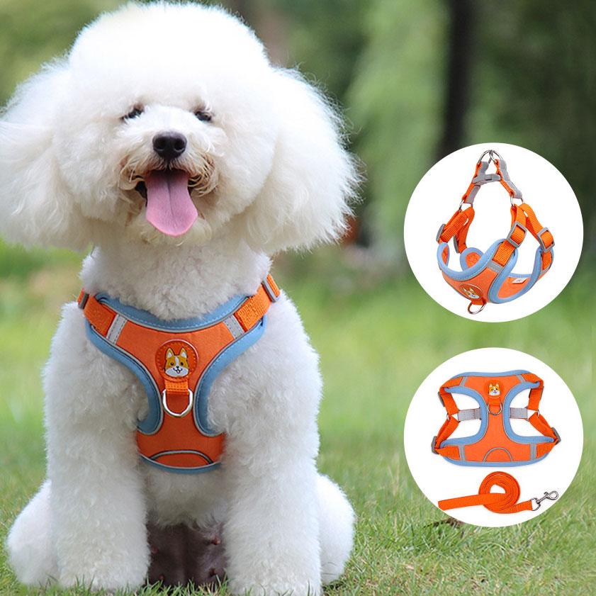 Ultimate Comfort And Safety Pet Harness Set-0