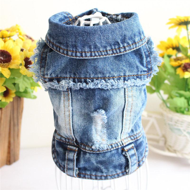 Stylish Denim Dog Jacket: Trendy Pet Fashion For Small Dogs
