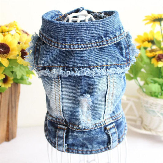 Stylish Denim Dog Jacket: Trendy Pet Fashion For Small Dogs