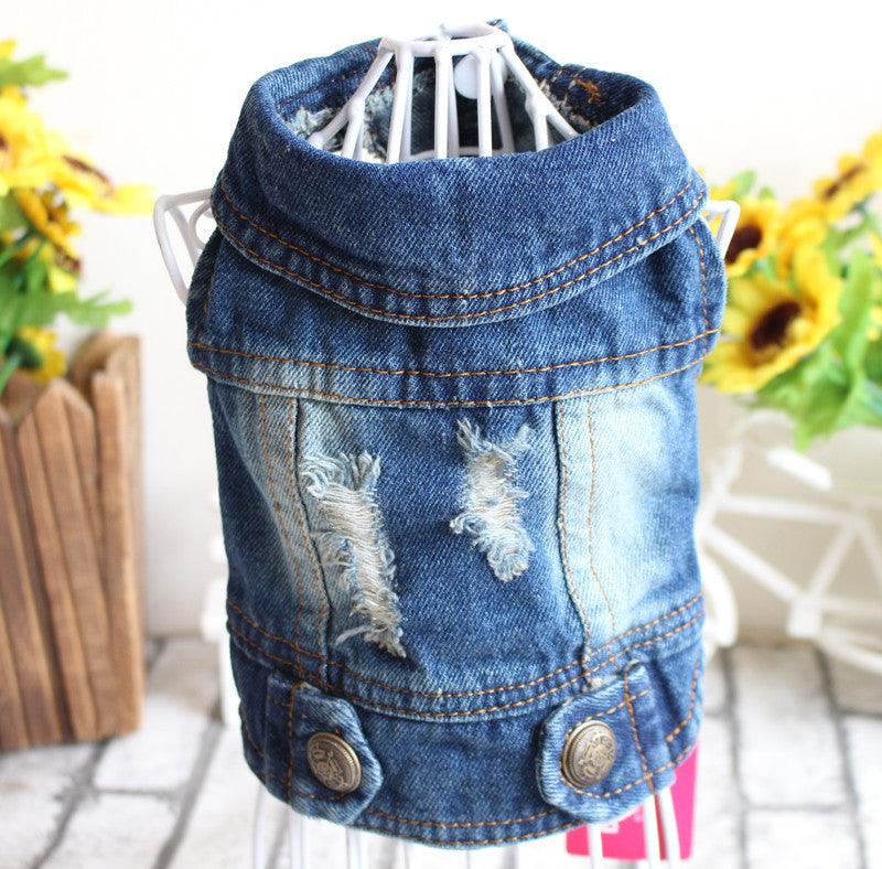 Stylish Denim Dog Jacket: Trendy Pet Fashion For Small Dogs